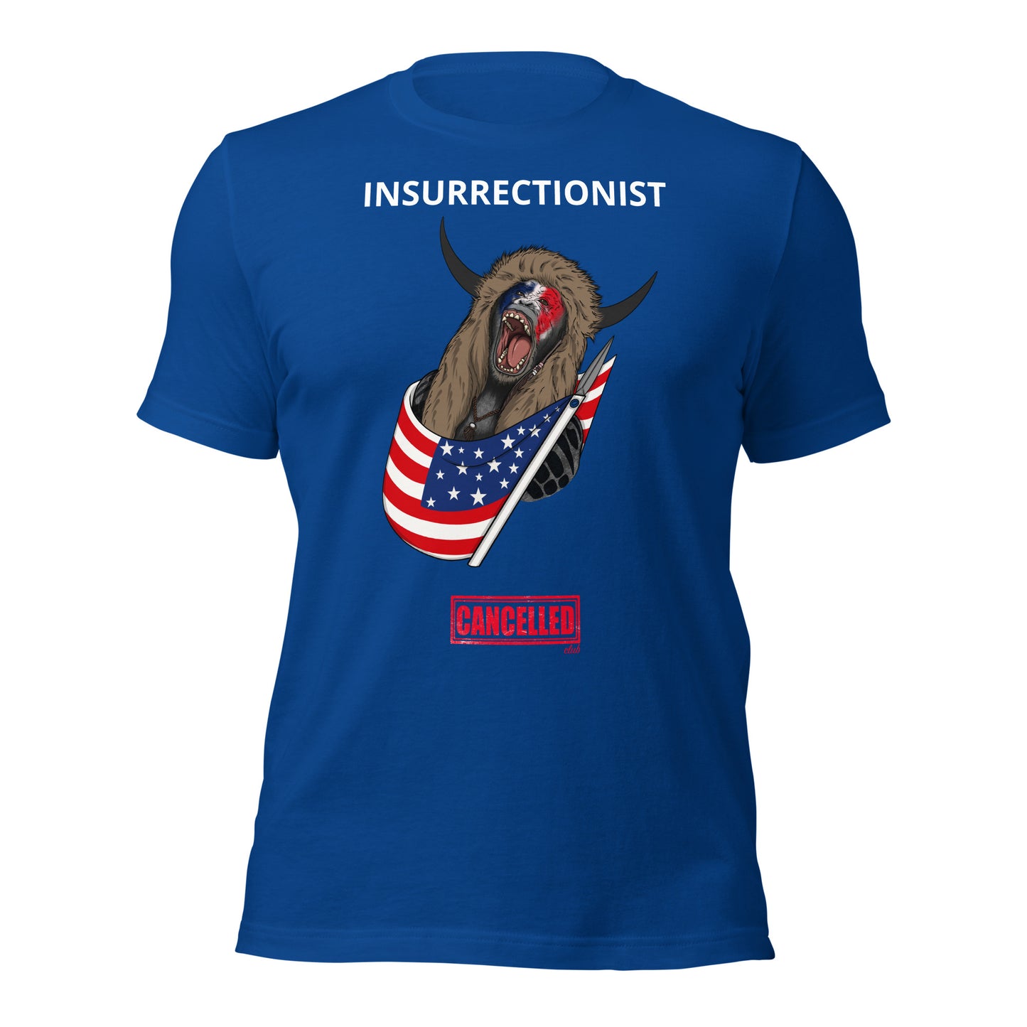 Unisex t-shirt - Insurrectionist
