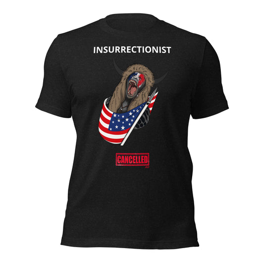 Unisex t-shirt - Insurrectionist